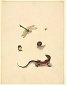 Assorted Chinese animals,19th century