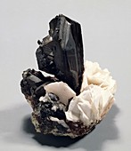Chalcocite crystals