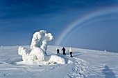Fogbow and snowy landscape