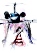 Fear of flying,conceptual artwork