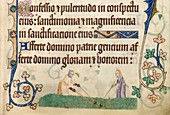 Medieval gardening,Luttrell Psalter