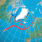 North Atlantic ocean currents,artwork