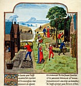 Agriculture,15th-century manuscript