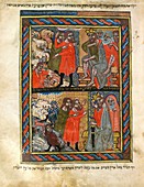 Biblical plagues,14th-century manuscript