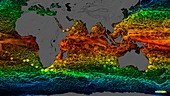 Global surface currents 2005-2007