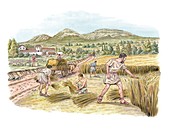 Roman agriculture,artwork