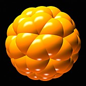 Buckminsterfullerene molecule