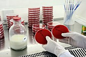 Breast milk contamination testing