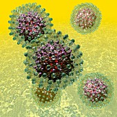 Hepatitis B virus particles,artwork