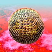 Measles virus particle,artwork