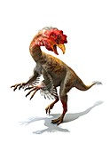 Chicken dinosaur,artwork