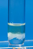 Zinc sulphate in ammonia solution
