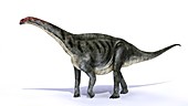 Galvesaurus dinosaur,artwork