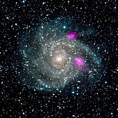 Spiral galaxy IC 342,NuSTAR X-ray image