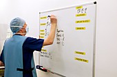 Surgeon writing notes on a whiteboard