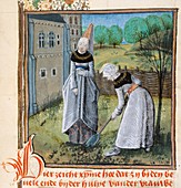 Literary feminist allegory,15th century