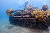 Diving at Aquaba - Red Sea