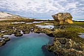 Intertidal zone,South Africa