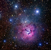 Trifid Nebula M20,optical image