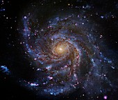 Pinwheel Galaxy (M101),Hubble image