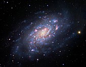 Spiral galaxy NGC 2403,optical image