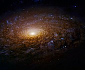 Spiral galaxy NGC 3521,Hubble image