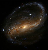 Barred spiral galaxy NGC 7479