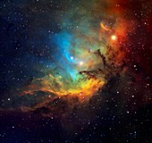 Tulip nebula,optical image