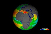 Sea surface salinity,Aquarius image