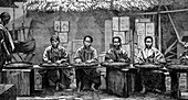 Tea sorters in China,1880s