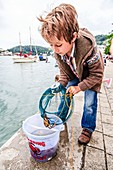 Boy crabbing at Dartmouth