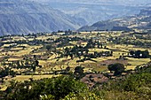 Plateau farmland,Ethiopia