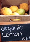 Lemon stall,South Africa