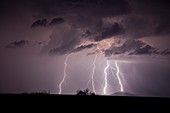Lightning,Colorado,USA
