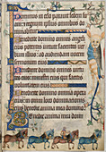 Text page; horses