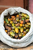 Sack of betel nuts