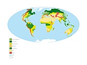 Earth's biomes,global map