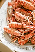 Cooked langoustines plated