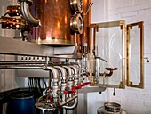 Copper still,gin distillery