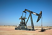 Oil pump,Oman