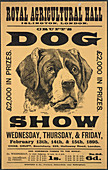 Cruft's dog show