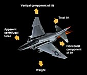 Aerodynamic forces in flight,diagram