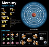 Mercury,atomic structure