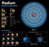 Radium,atomic structure
