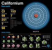 Californium,atomic structure