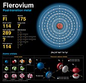 Flerovium,atomic structure