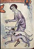 Man with hunting dogs