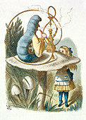 Alice meets the blue caterpillar