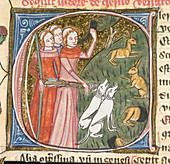 Clerics hunting rabbits