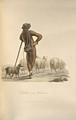 Shepherd near Valenciennes